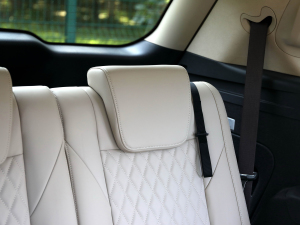 20223.0T Ԅ(q)(lin)앳 g