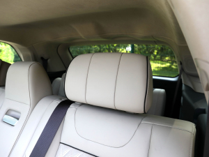 20223.0T Ԅ(q)(lin)앳 g