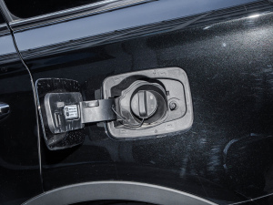 20223.0T Ԅ(q)(lin)I(lng) w