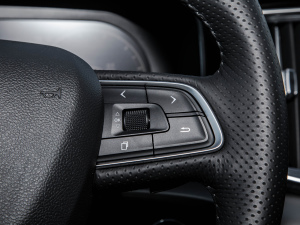 20223.0T Ԅ(q)(lin)I п؅^(q)