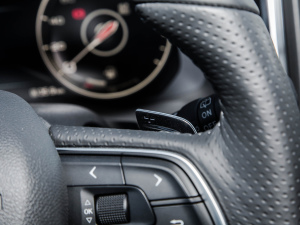 20223.0T Ԅ(q)(lin)I п؅^(q)