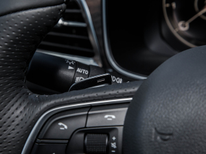 20223.0T Ԅ(q)(lin)I п؅^(q)