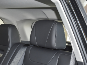 20222.0T DCT(q)(lin)쐂 g