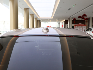 20223.0T (lin)I(lng) (x)(ji)^