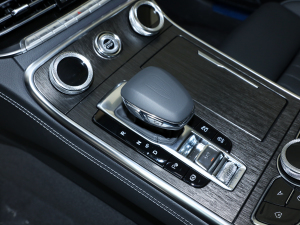 2022款3.0T 智联旗领四座版 中控区