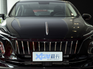 2022款431km 充电乐享版 中网