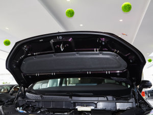 2023��2.0T ��(li��n)���I(l��ng)�� ����