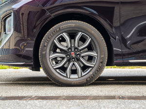 2023��2.0T ��(li��n)���I(l��ng)�� ��(x��)��(ji��)���^