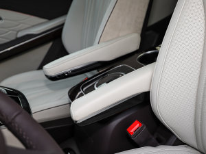 2023��2.0T ��(li��n)���I(l��ng)�� ���g����