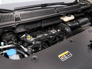 2023��2.0T ��(li��n)���I(l��ng)�� ����