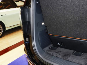 2023��2.0T ��(li��n)��퍰� ���g����