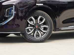 2023��2.0T �������� ݆Ȧ