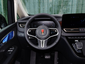 2023��2.0T ��(li��n)������ ����P