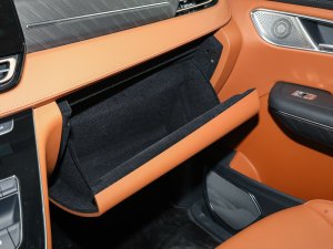 2023��2.0T ��(li��n)�쐂�� ������