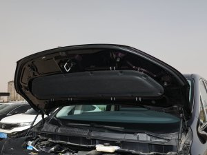 2023��2.0T ���쐂�� �l�әCœ������