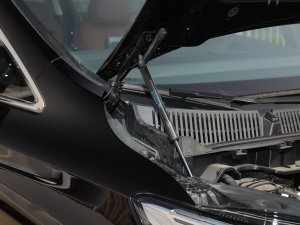 2023��2.0T ���쐂�� ����