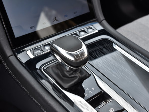 20231.5T DCTð 