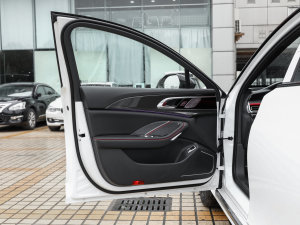 2023��2.0T ����� �{�λ܇�T