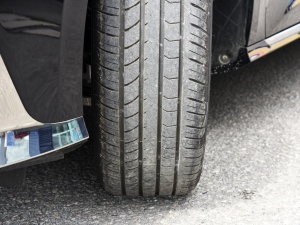 2023��2.0T ���ݰ� �������^