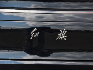 2023款2.0T 致逸版 细节外观
