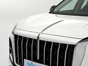 20231.5T (q)ƞ (x)(ji)^