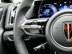 20232.0T (q)О п؅^(q)