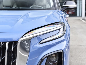 20232.0T (q)О (x)(ji)^