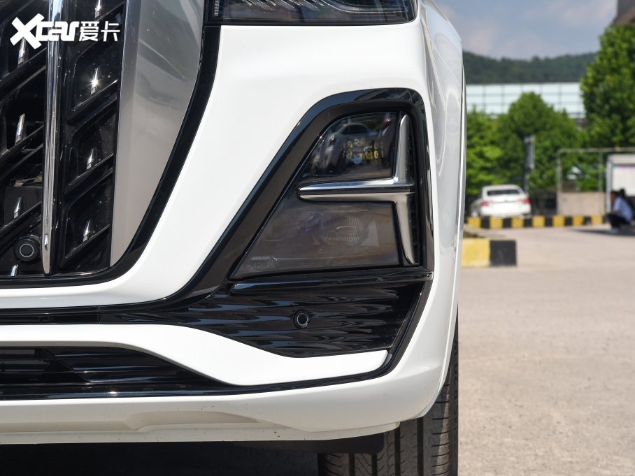 2023tHS5 2.0T (q)I(lng)Pro