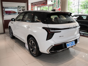 2024PHEV 115km Ϊ 