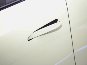 2025660 (q) A{(yu)x (x)(ji)^