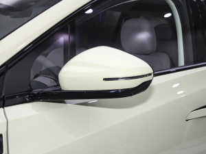 2025660 (q) A{(yu)x (x)(ji)^