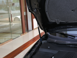 20181.8T (lin)`(dng) 