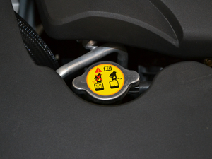 20181.8T (lin)(dng) 