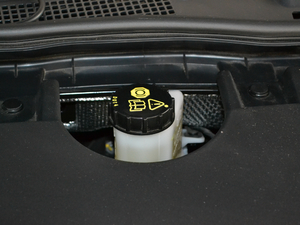 20181.8T (lin)(dng) 