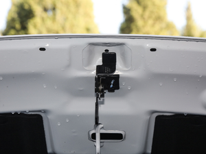 2019款1.5L 自动尊享型 国V 其它