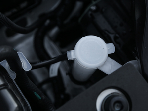 2019款1.5L 自动尊享型 国V 其它