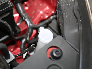2019款1.5L 手动尊享型 国V 其它