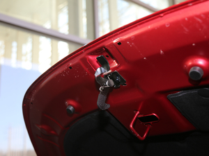 2019款1.5L 手动尊享型 国V 其它