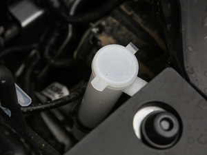 20191.5L Ԅ(dng)(yu) V 