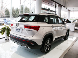 2019款1.5T CVT尊贵型 国V 整体外观