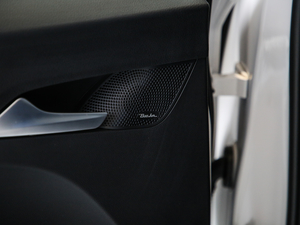 20191.5T CVTF (gu)V g