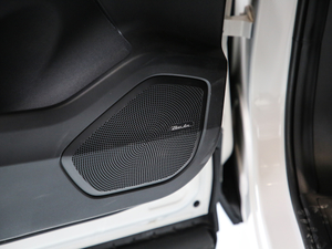 20191.5T CVTF (gu)V g