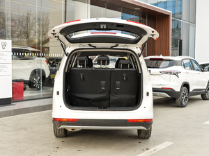 20191.5T քӕr 7 V g