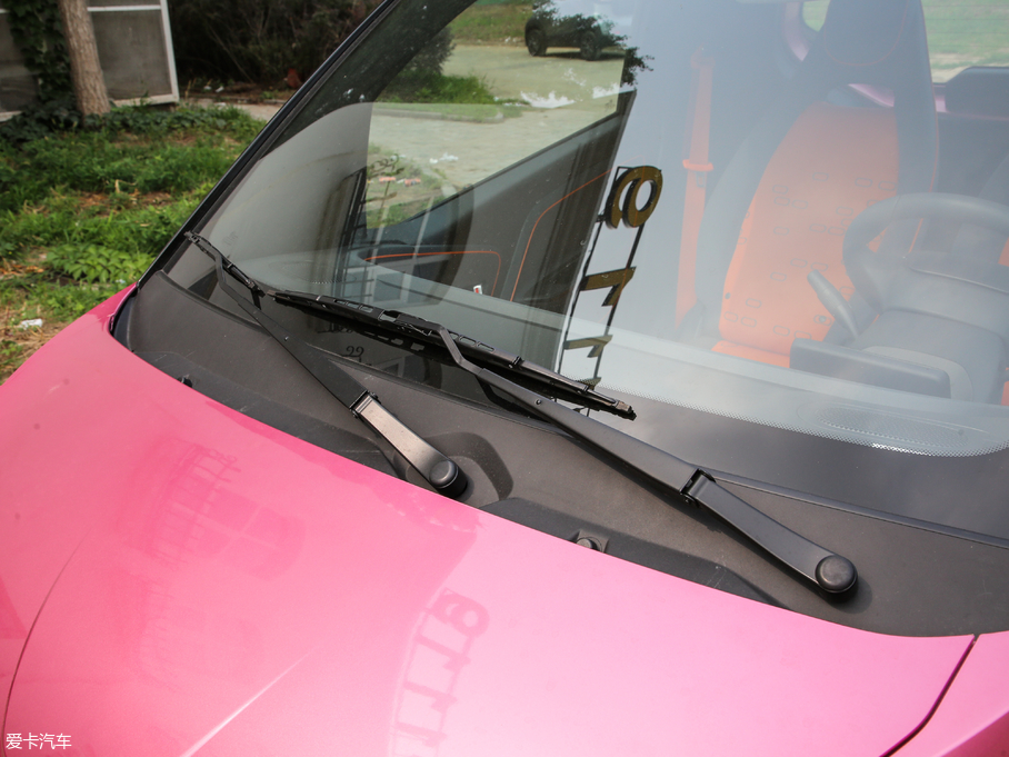 2019��EE100 250km ������