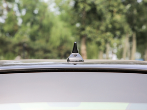 2019��250km ������ �������^