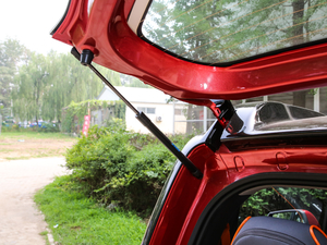 2019��250km ������ ���g����