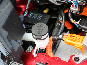 2019��250km ������ ����