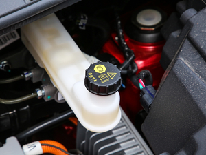 2019��250km ������ ����