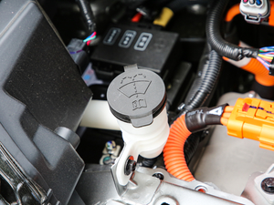 2019��250km ������ ����