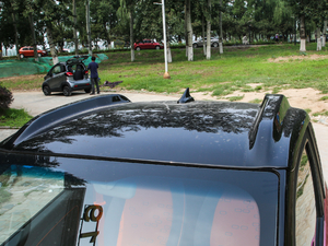 2019��250km ������ ��(x��)��(ji��)���^